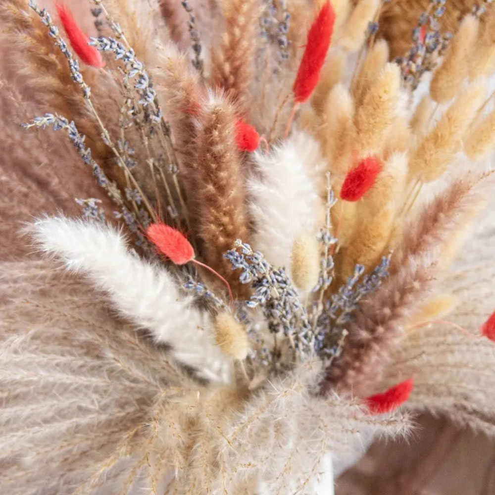 天然パンパスグラス ラベンダー ドライフラワー 人工花束 ウ - Pampas Grass Decor のレビューと価格
