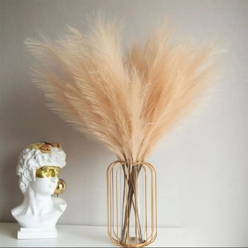 人工肥料,偽のふわふわのハーブ,植物の詰め物,家の自由奔放に - Pampas Grass Decor のレビューと価格