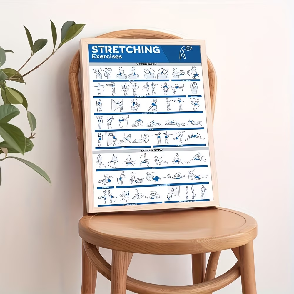 モダンなラベル付き全身ストレッチ体図 ジム用ウォールアートプ - Home Decor Theme のレビューと価格